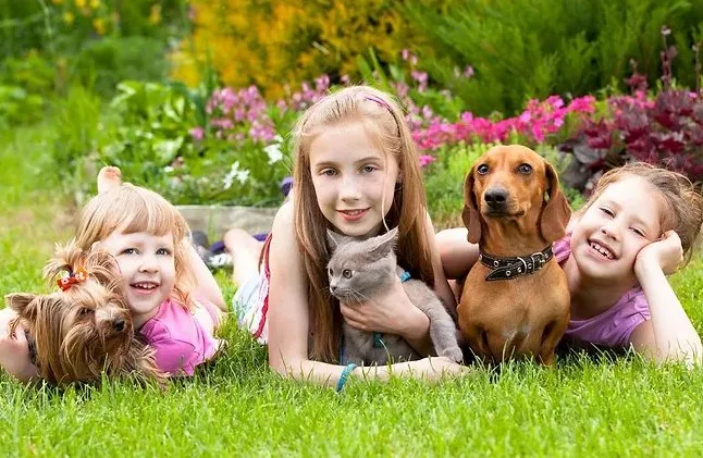 Professional landscape design with custom design in Portland, OR by Clean Air Lawn Care