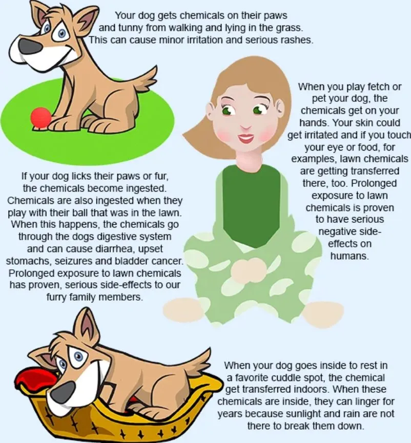 Expert landscape installation in Portland, OR by Clean Air Lawn Care