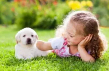 Trusted landscaping services experts serving Portland, OR - Clean Air Lawn Care