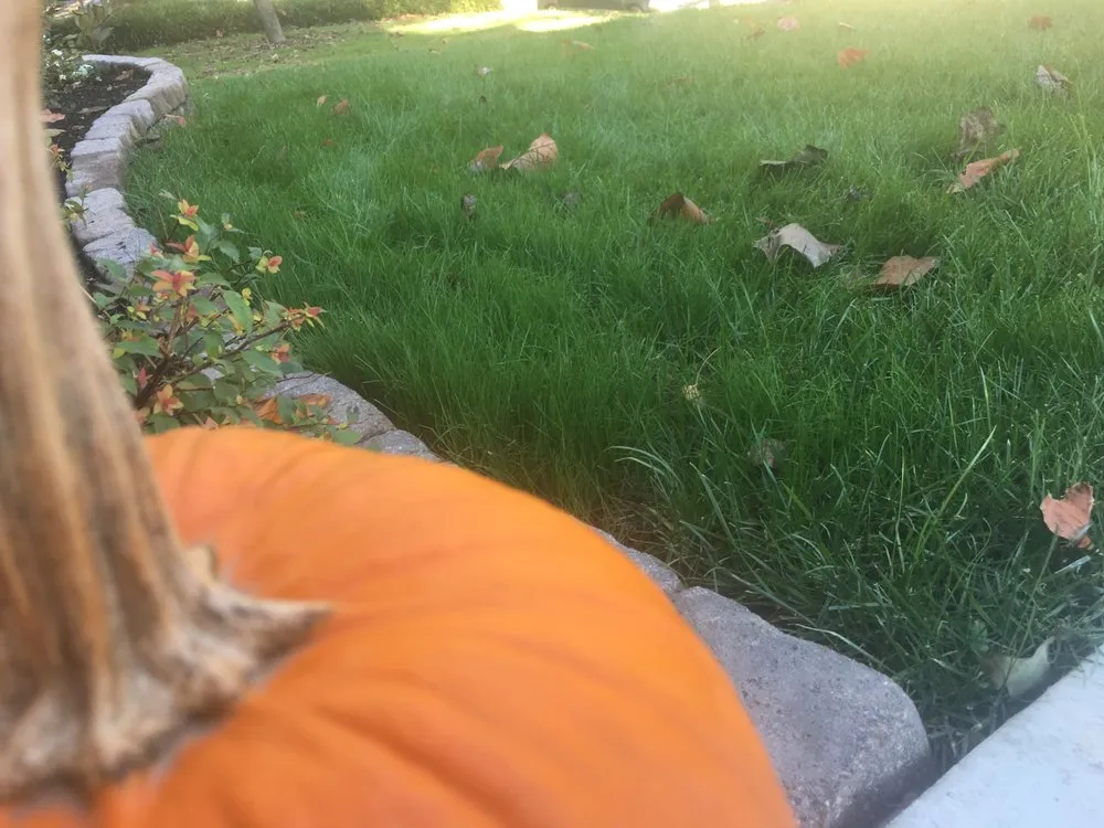 Professional lawn mowing service in Saint Louis, MO by Clean Air Lawn Care