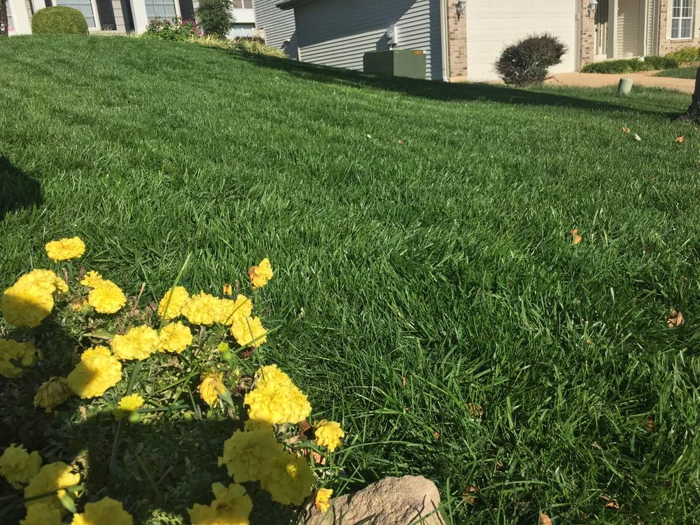 Reliable lawn care service experts serving Saint Louis, MO - Clean Air Lawn Care