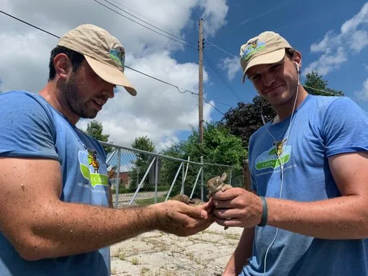 Clean Air Lawn Care Logo