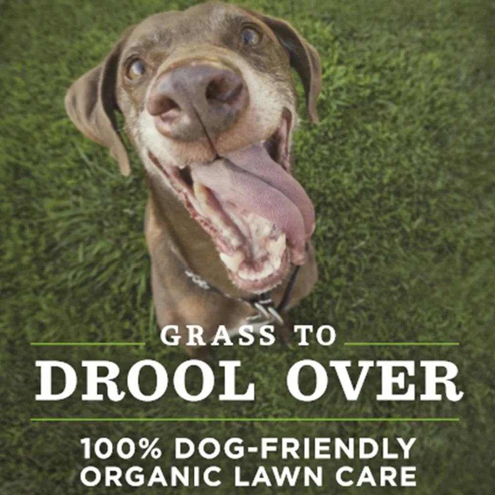 Trusted landscaping services in Seattle, WA by Clean Air Lawn Care