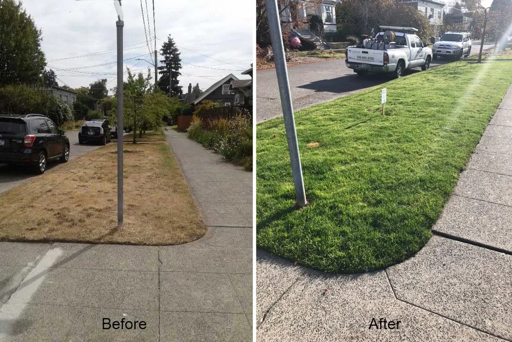 Top-rated outdoor landscaping with custom design in Seattle, WA by Clean Air Lawn Care