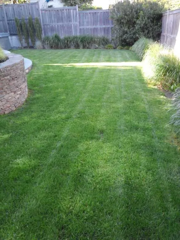 Trusted landscaping services in Seattle, WA - Clean Air Lawn Care