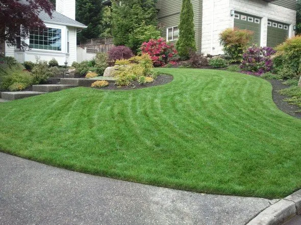 Expert lawn mowing service in Seattle, WA by Clean Air Lawn Care