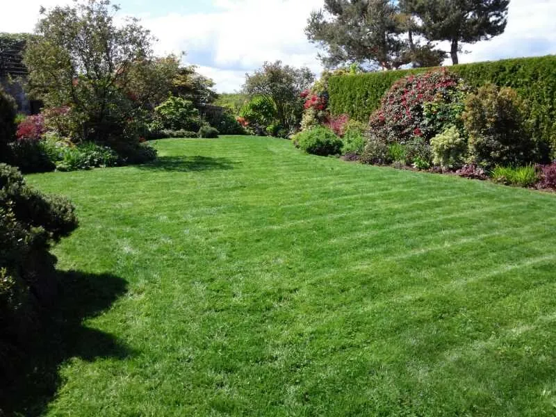 Expert yard maintenance for outdoor upgrades in Seattle, WA by Clean Air Lawn Care