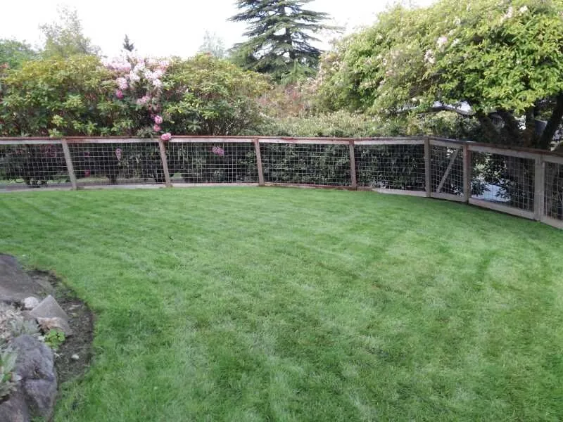 Trusted outdoor landscaping for outdoor upgrades in Seattle, WA by Clean Air Lawn Care