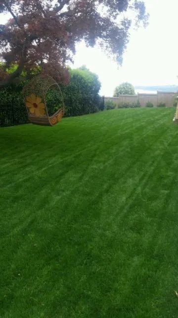 Top-rated garden landscaping in Seattle, WA - Clean Air Lawn Care
