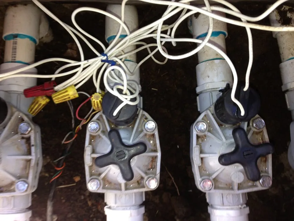 Reliable yard cleanup service in Forestville, CA by Clean Air Lawn Care Sonoma