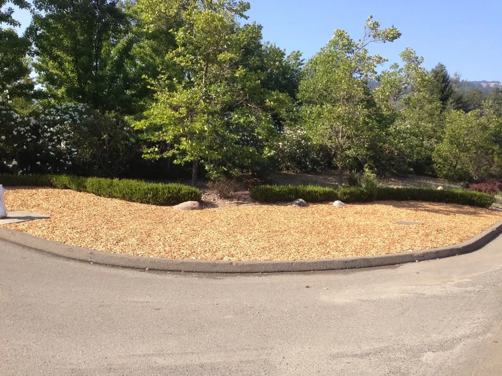Local residential landscaping in Forestville, CA - Clean Air Lawn Care Sonoma