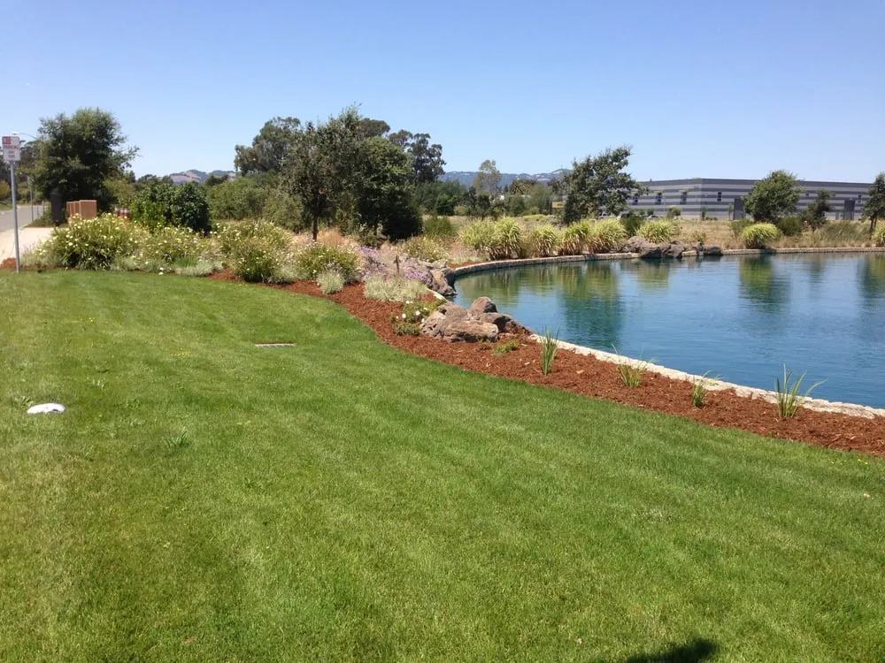 Expert landscaping services for homes in Forestville, CA by Clean Air Lawn Care Sonoma