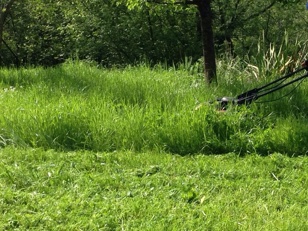 Reliable lawn mowing service experts serving Forestville, CA - Clean Air Lawn Care Sonoma