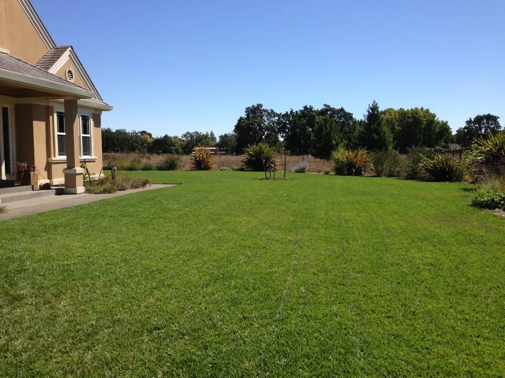 Trusted yard cleanup service for residential properties across Forestville, CA - Clean Air Lawn Care Sonoma