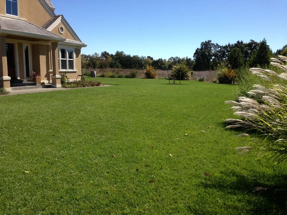 Affordable landscape installation for outdoor upgrades in Forestville, CA by Clean Air Lawn Care Sonoma