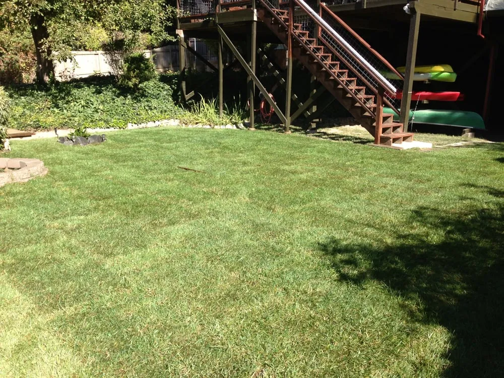Custom yard cleanup service in Forestville, CA by Clean Air Lawn Care Sonoma