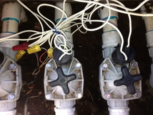 Clean Air Lawn Care Sonoma