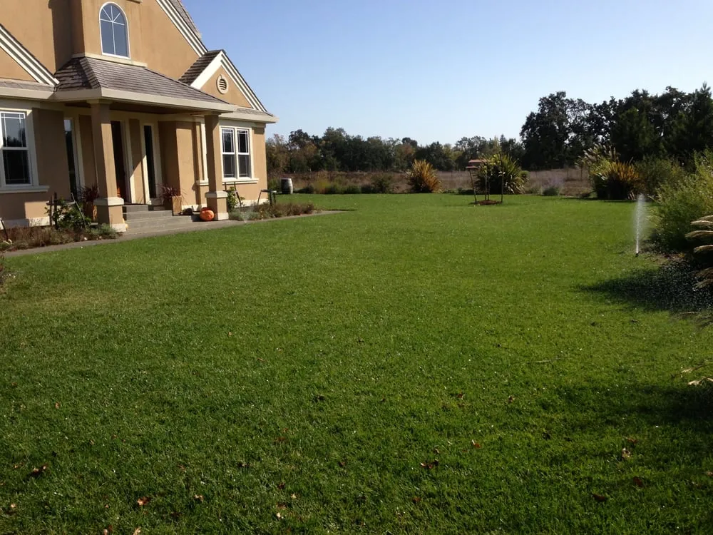 Local landscaping services in Tigard, OR by Clean Air Lawn Care
