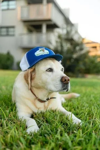 Professional lawn mowing service with custom design in Wilmington, NC by Clean Air Lawn Care