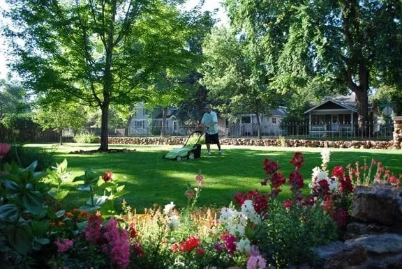 Expert landscaping services experts serving Wilmington, NC - Clean Air Lawn Care