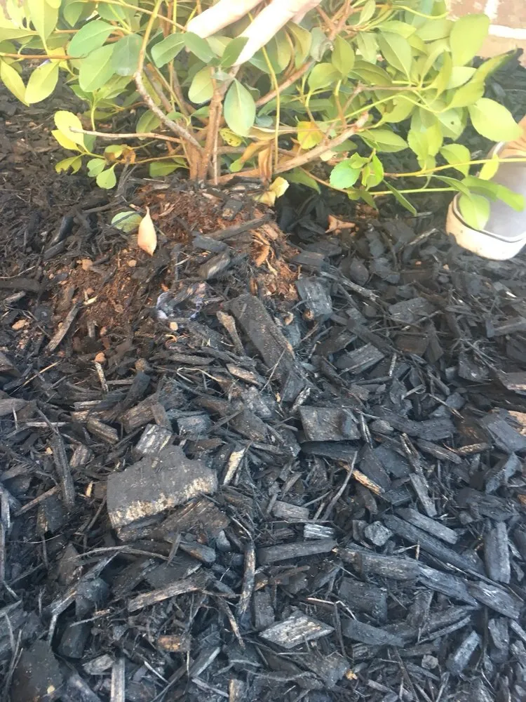 Local landscape installation with custom design across Justin, TX - Clean And Clear Lawn And Landscaping