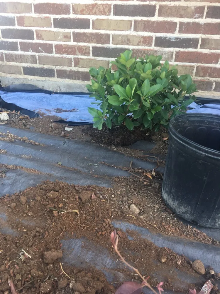 Professional garden landscaping with custom design in Justin, TX by Clean And Clear Lawn And Landscaping