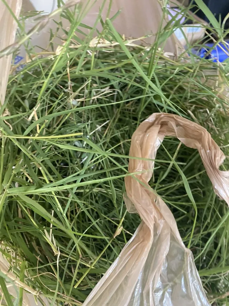 Trusted outdoor landscaping in Justin, TX - Clean And Clear Lawn And Landscaping