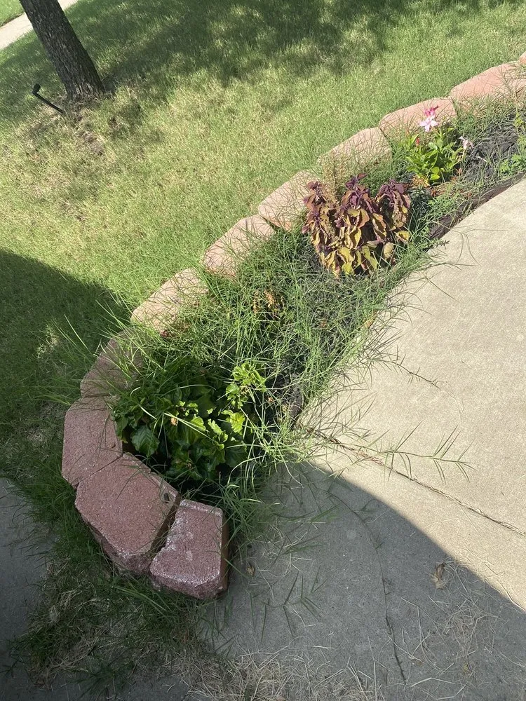 Expert residential landscaping in Justin, TX by Clean And Clear Lawn And Landscaping