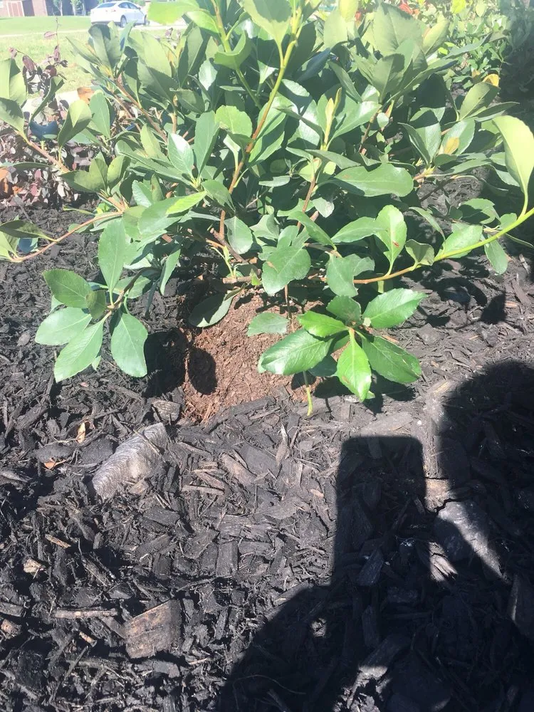 Expert outdoor landscaping for homes across Justin, TX - Clean And Clear Lawn And Landscaping