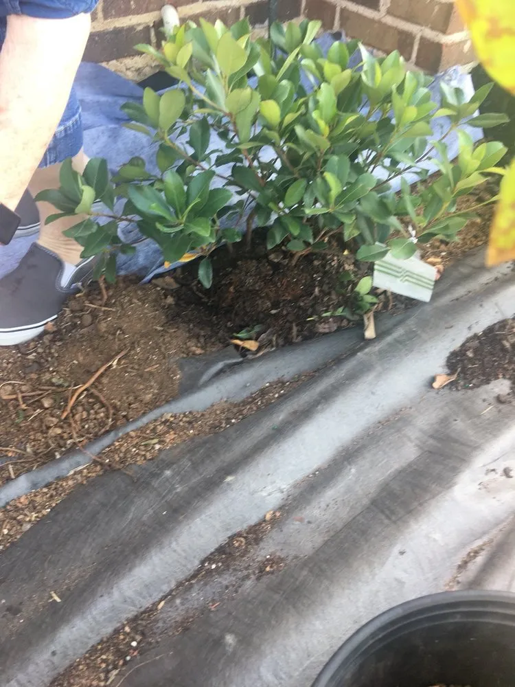 Top-rated outdoor landscaping experts serving Justin, TX - Clean And Clear Lawn And Landscaping