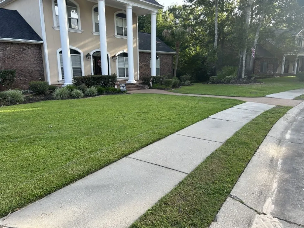 Reliable yard maintenance experts serving Biloxi, MS - Clean and Green