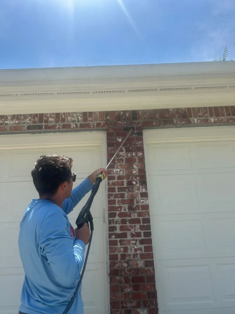 Professional lawn care service for beautiful yards in Biloxi, MS by Clean and Green