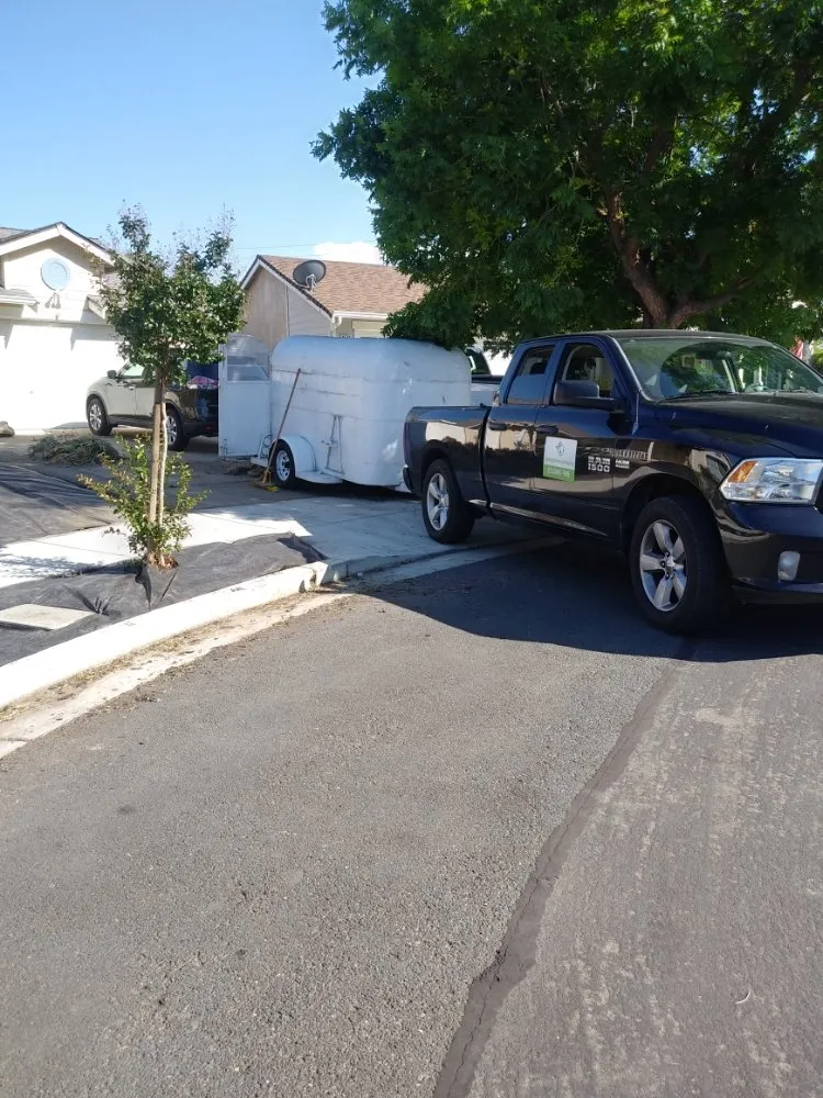 Top-rated lawn care service in Richmond, CA - Clean and Green Landscaping