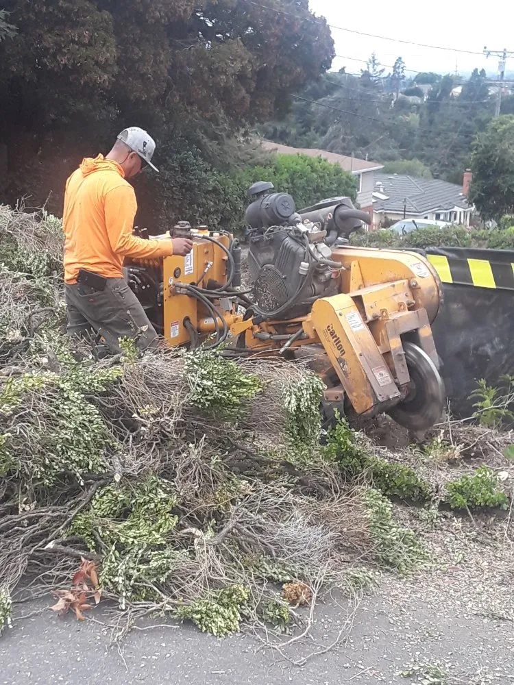 Professional garden landscaping with custom design in Richmond, CA by Clean and Green Landscaping