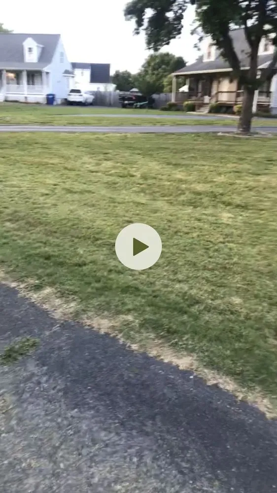 Custom yard maintenance in Dinwiddie, VA - Clean and Green Lawn Care