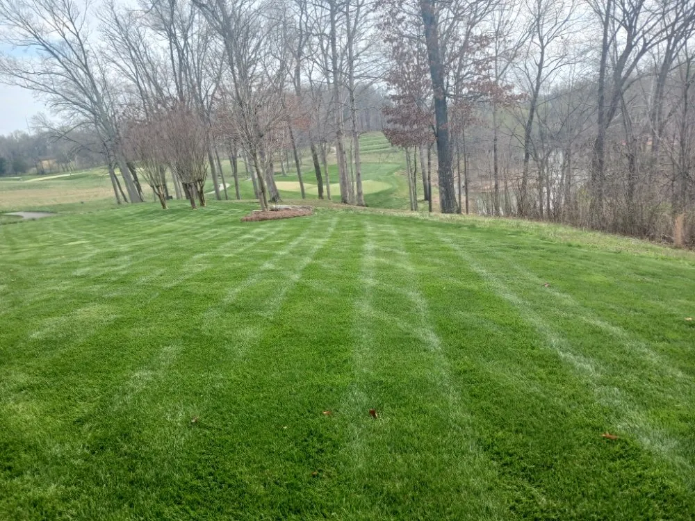 Expert outdoor landscaping in Bowling Green, KY by Clean and Green Lawncare