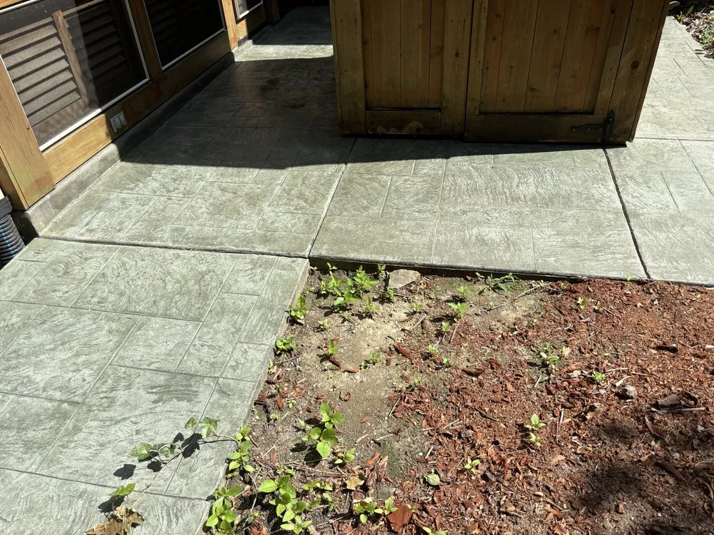 Local lawn mowing service for outdoor upgrades across Indianapolis, IN - Clean and Green Services