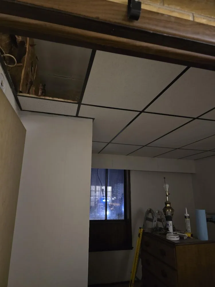 Professional lawn care service in Waterville, ME by Clean And Serene Property Maintenance