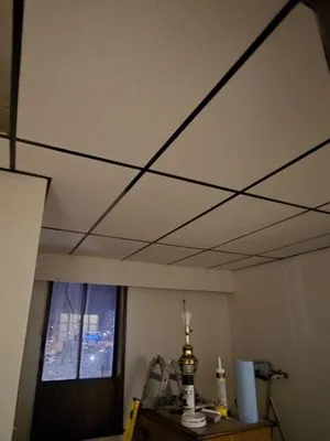 Clean And Serene Property Maintenance