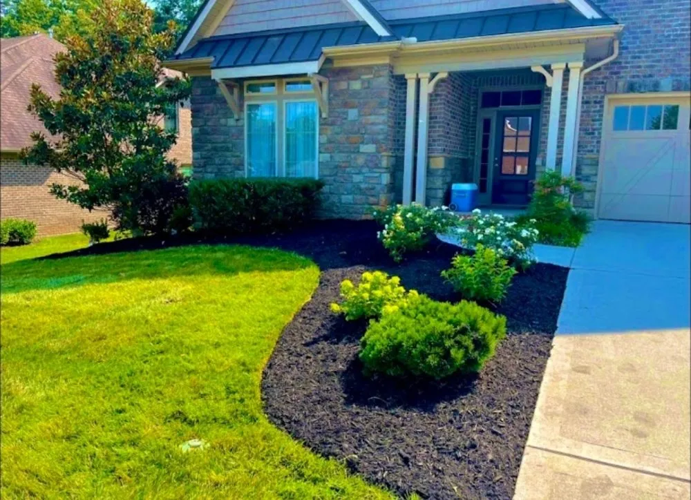 Trusted yard cleanup service for year-round maintenance across Knoxville, TN - Clean and Simple Lawn Care