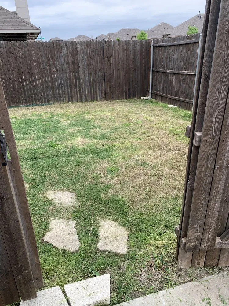 Reliable yard cleanup service for year-round maintenance in Royse City, TX by Clean As A Whistle Lawn Care