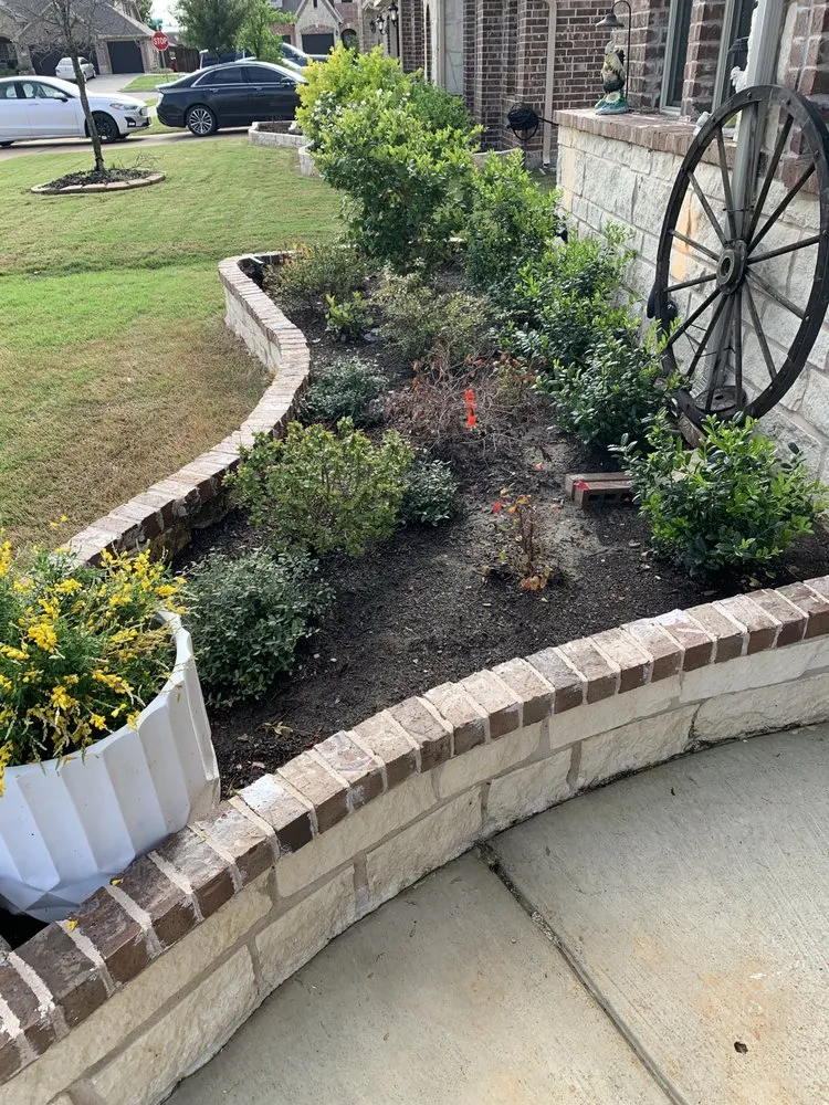 Affordable yard maintenance for year-round maintenance across Royse City, TX - Clean As A Whistle Lawn Care