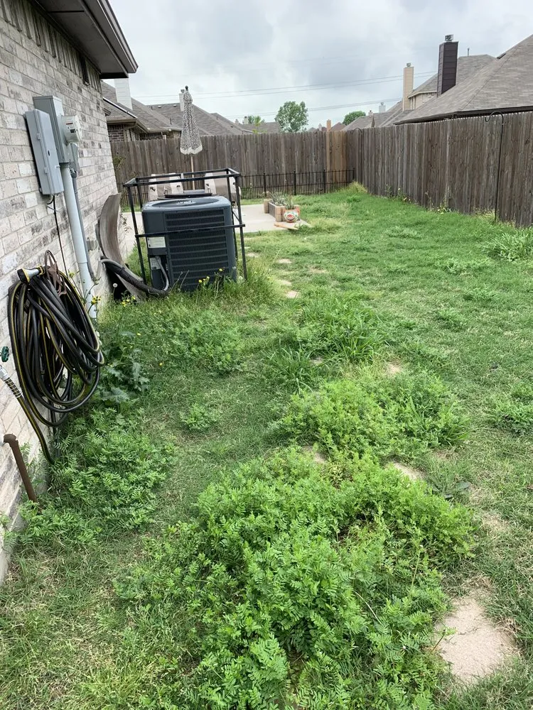 Top-rated lawn care service for homes across Royse City, TX - Clean As A Whistle Lawn Care