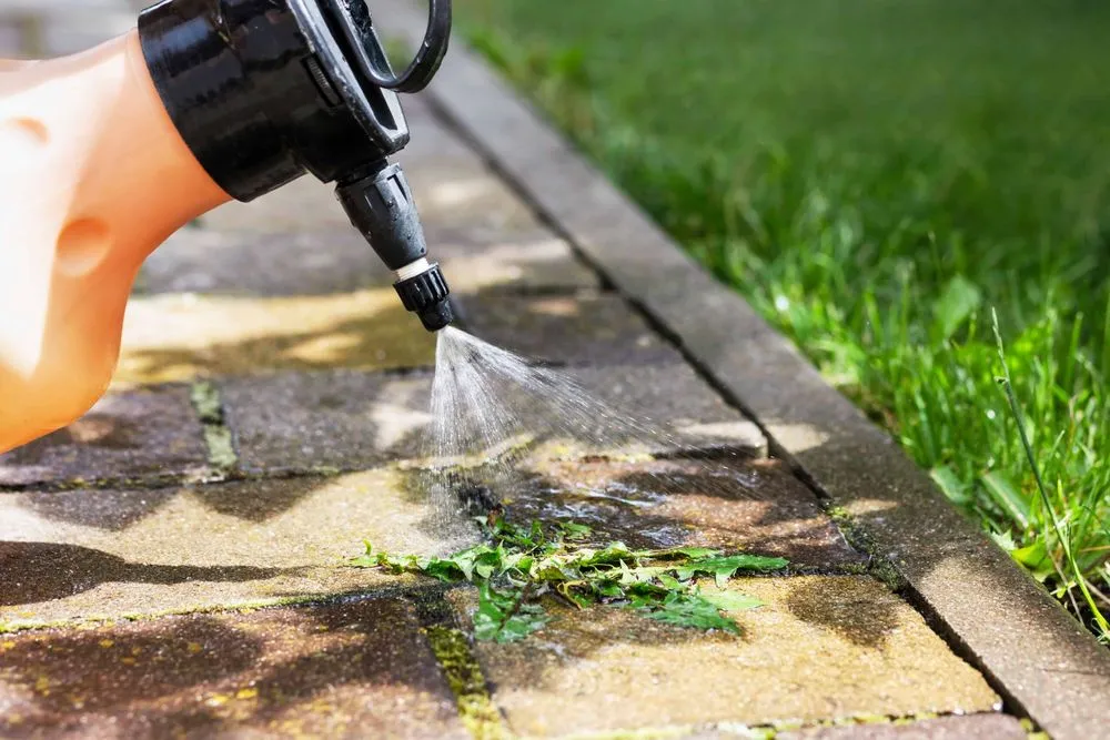 Affordable residential landscaping in North Bend, OR - Clean Coast Eco Wash & Landscaping