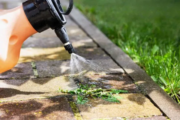 Clean Coast Eco Wash & Landscaping