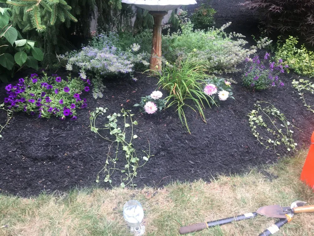 Top-rated yard maintenance near you across Bedford, NH - Clean Creations