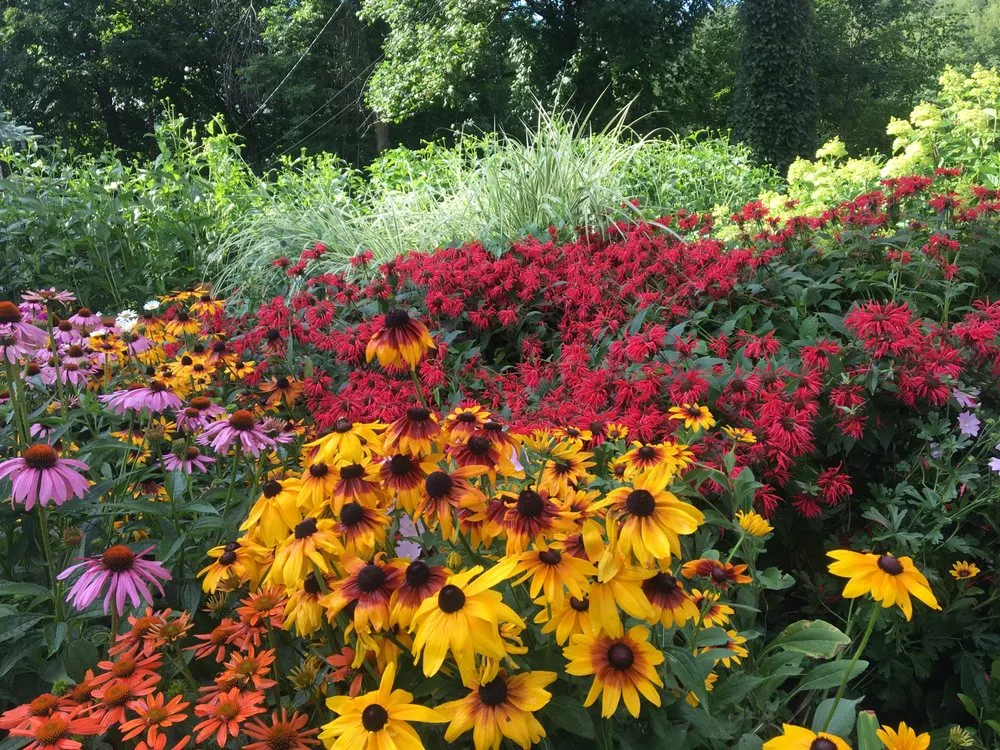 Reliable yard maintenance in Bedford, NH by Clean Creations