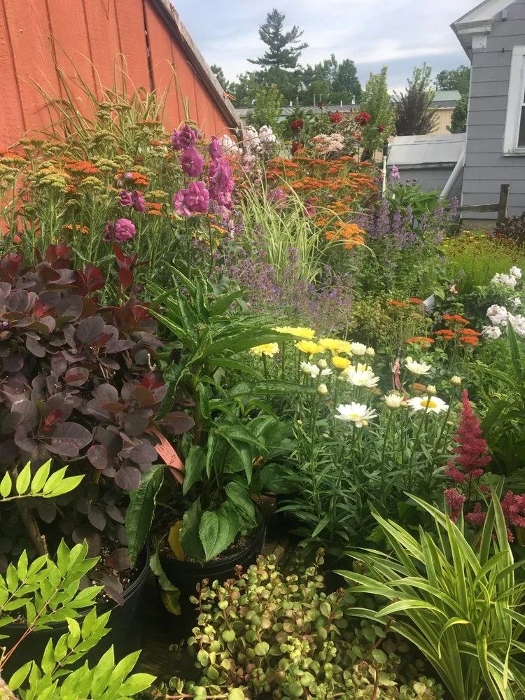 Custom yard cleanup service in Bedford, NH - Clean Creations