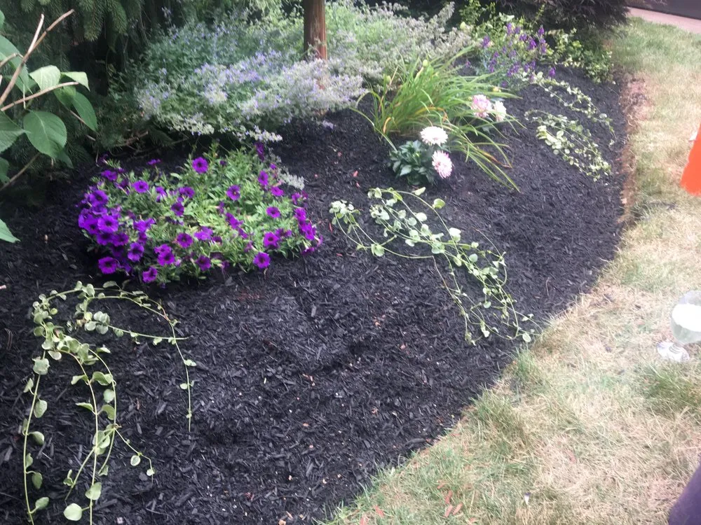 Professional landscape design for outdoor upgrades in Bedford, NH by Clean Creations