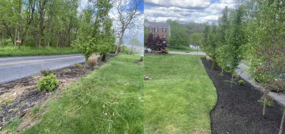 Local landscape installation for year-round maintenance in Canonsburg, PA by Clean Curb Junk Removal & Landscaping